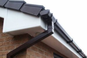 Black Gutter, White Fascia, Dry Verge